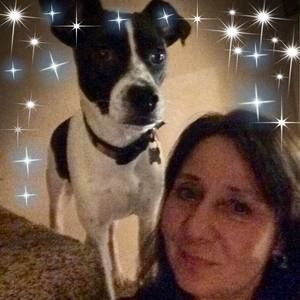 Meet your Posher, Rita